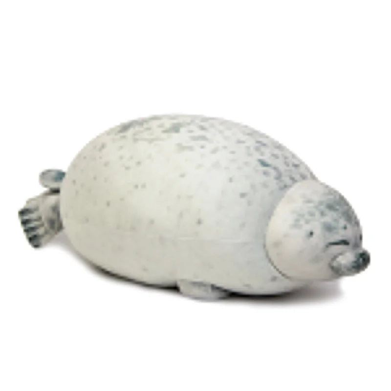 Dicke Robben