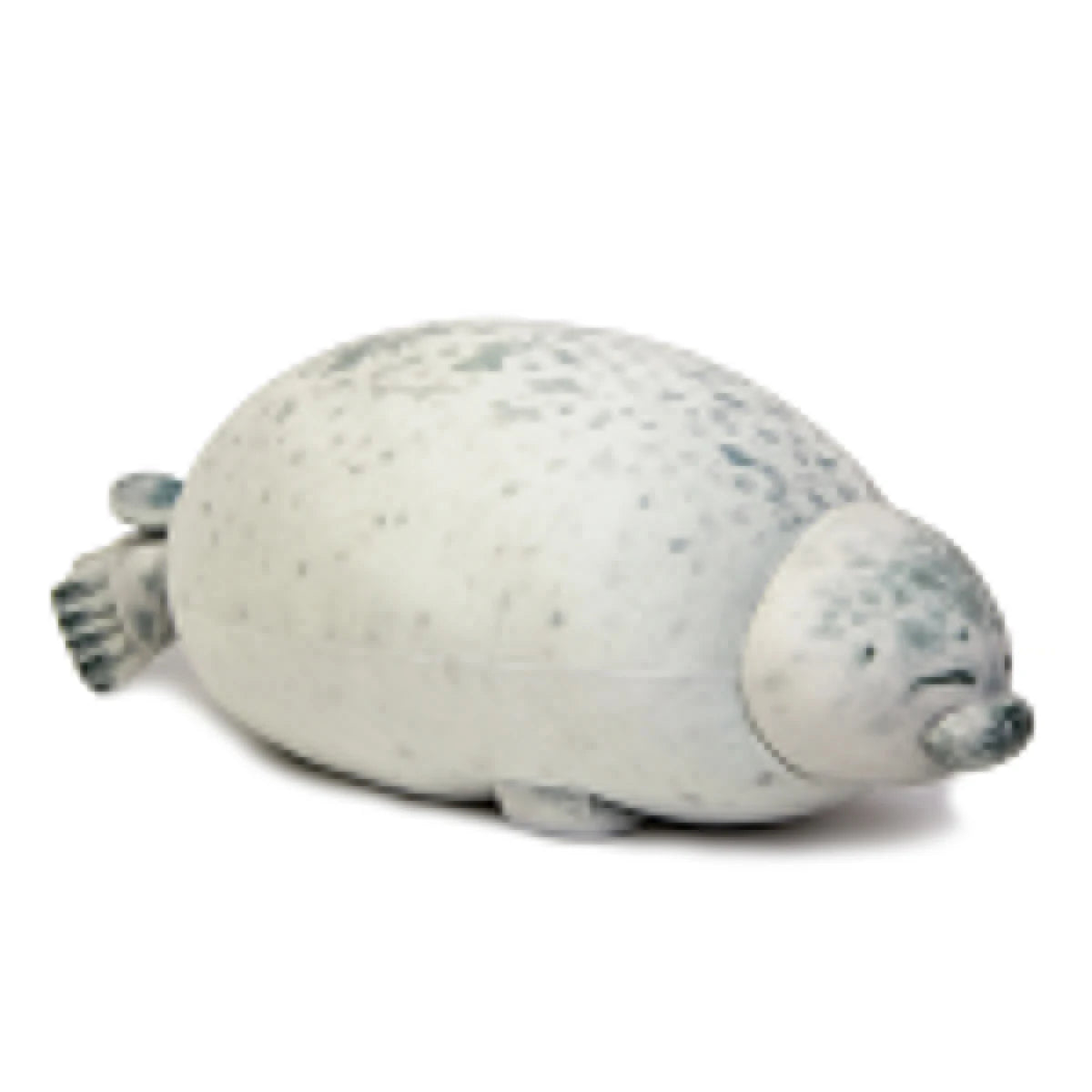 Dicke Robben