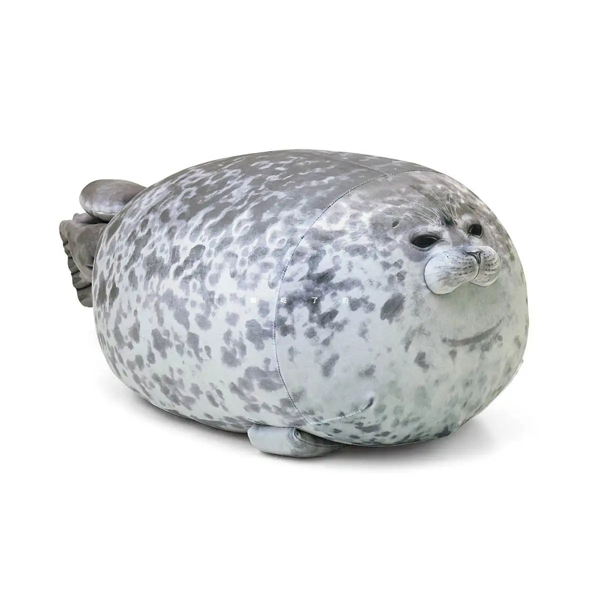 Dicke Robben