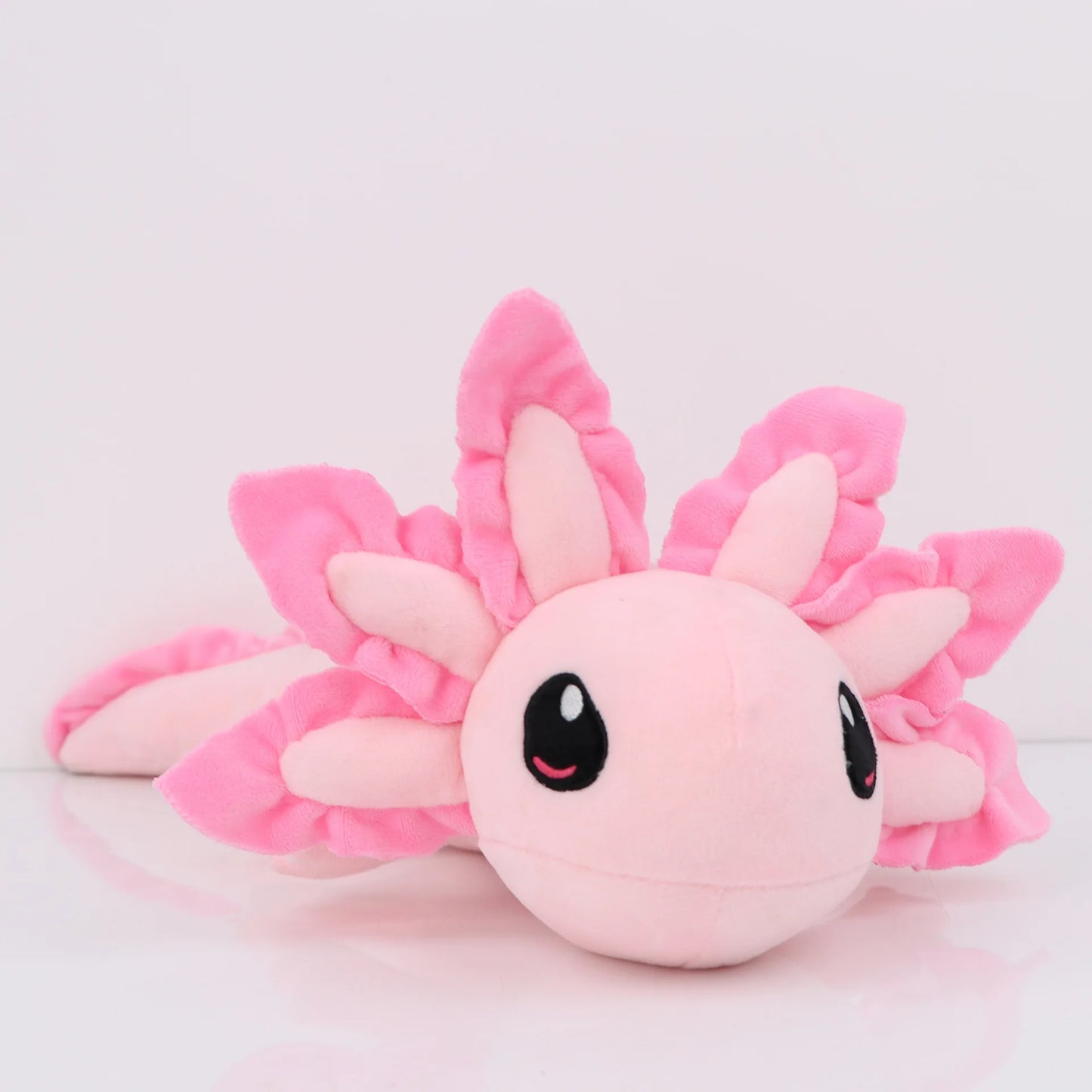 Axolotl