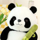 Bambus Panda