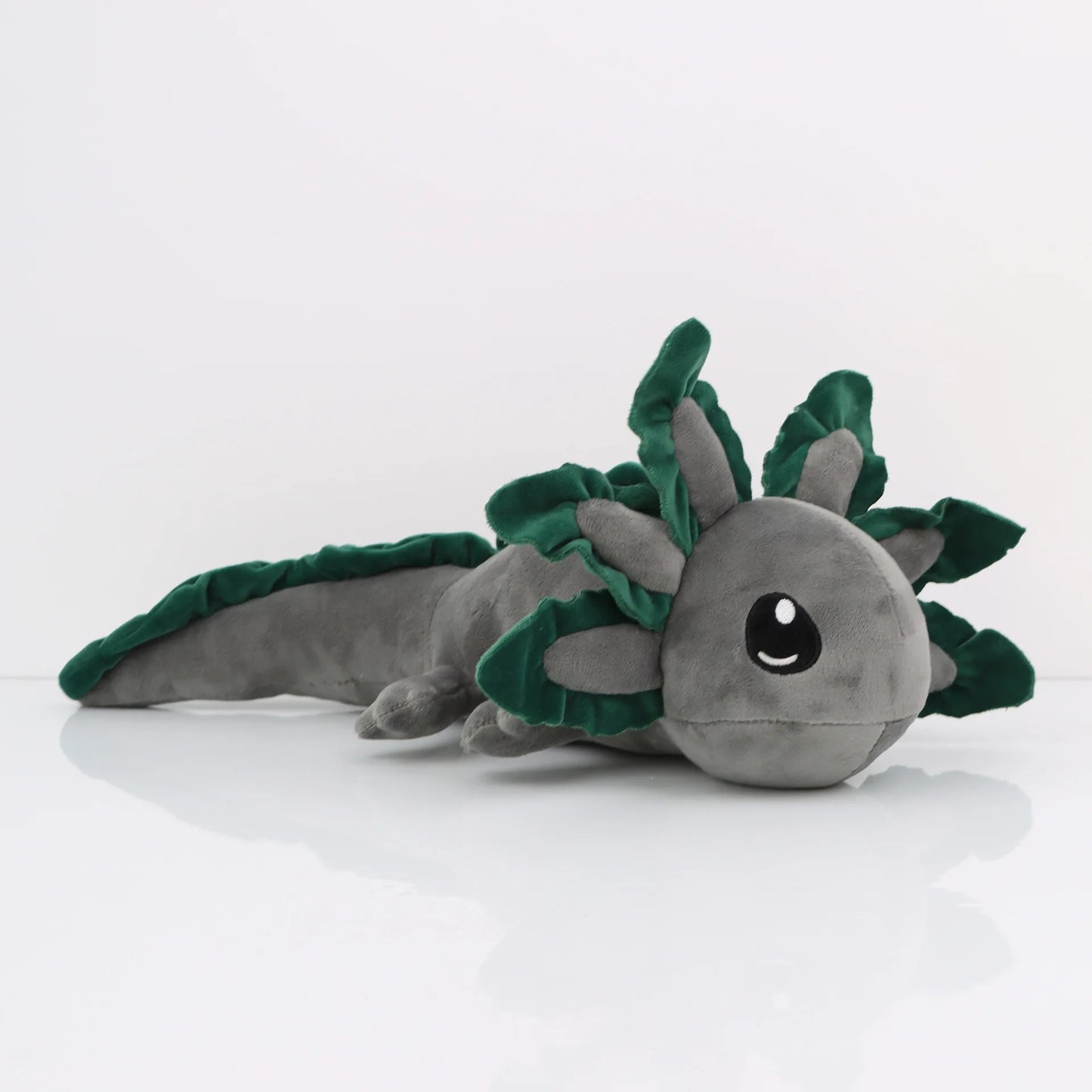 Axolotl