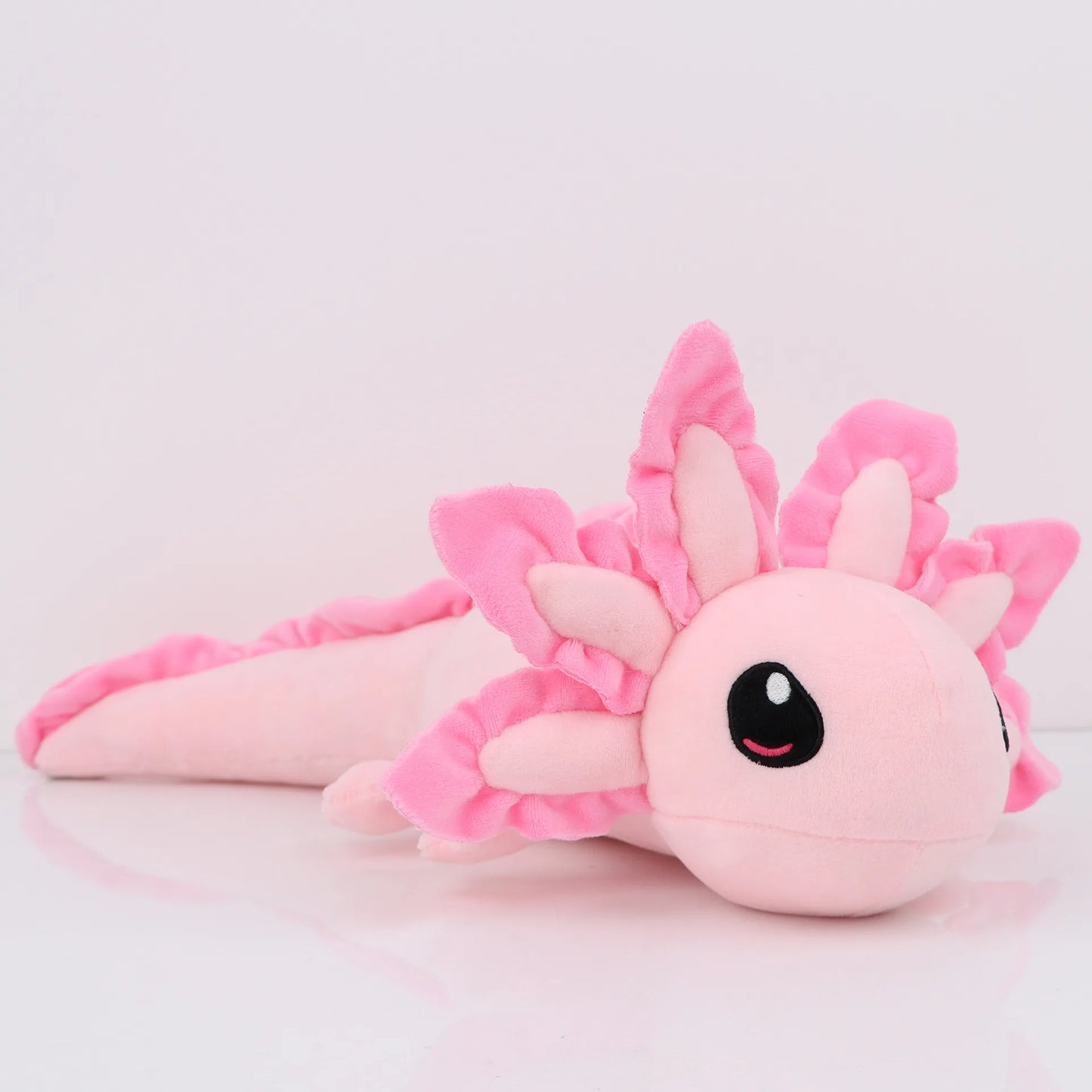 Axolotl